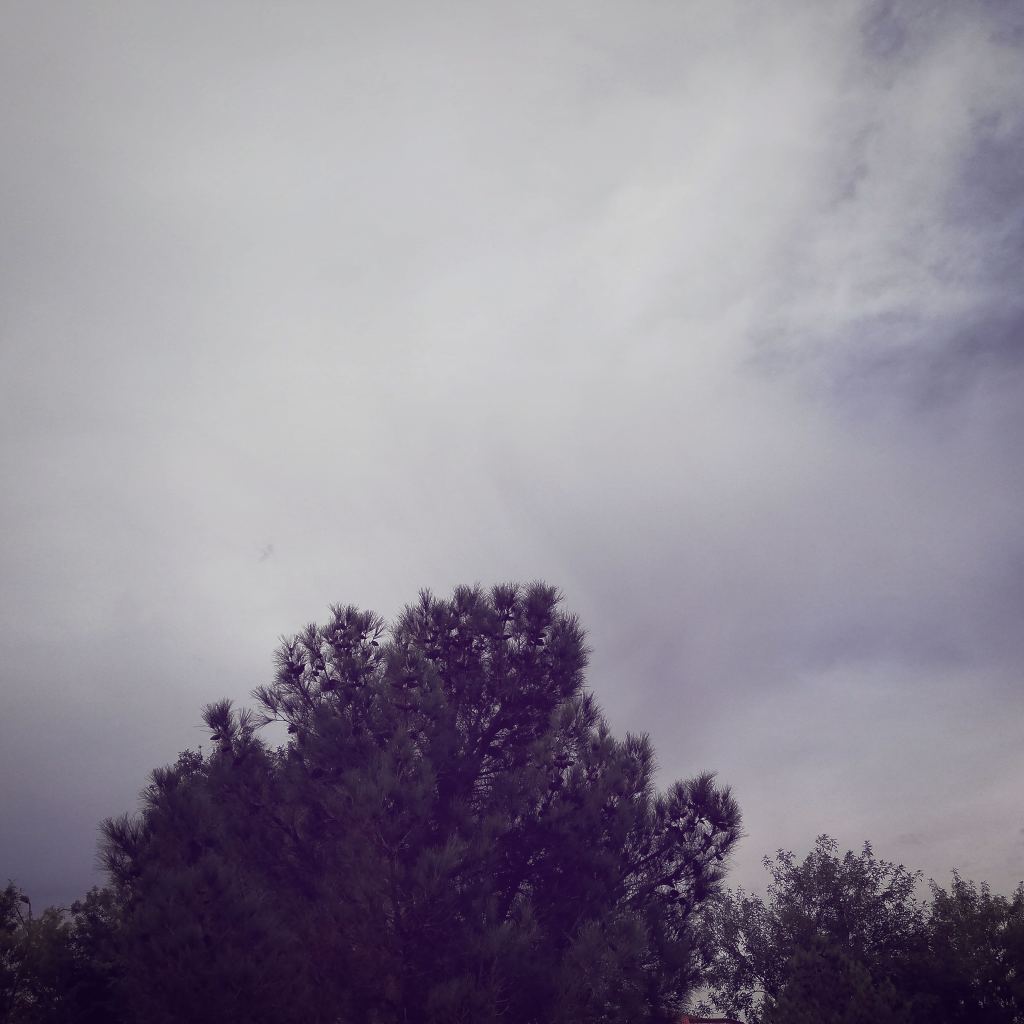 la poesia de la soledad y el escritor sin premios