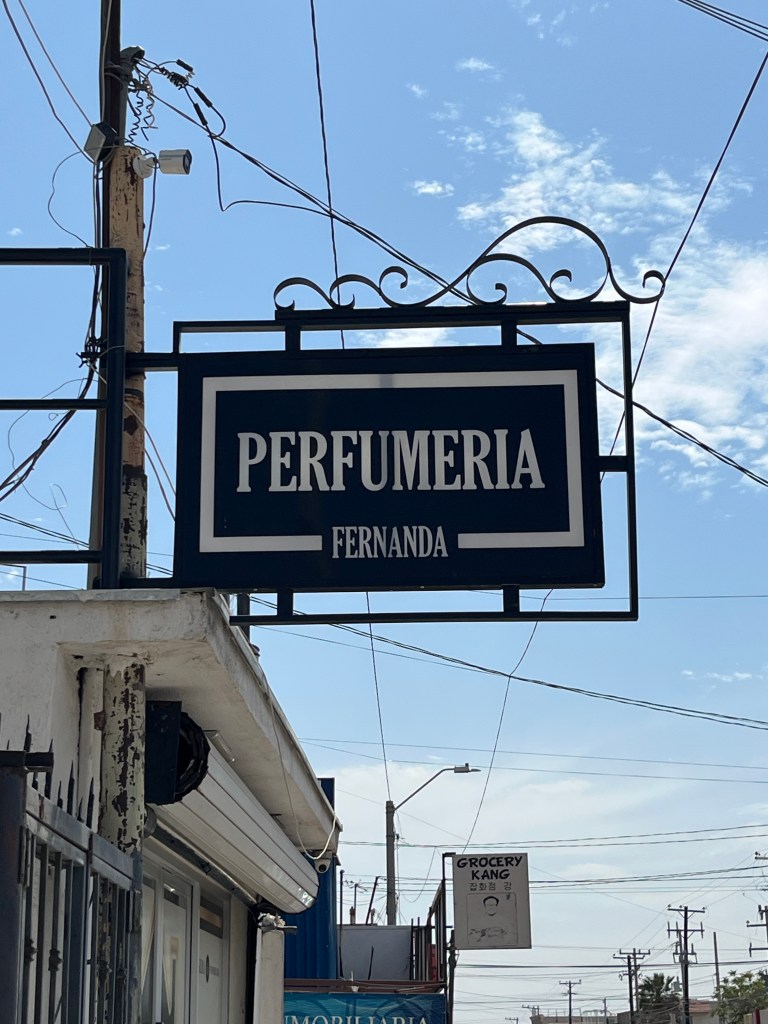 el dadaismo en la ciudad y el escritor local